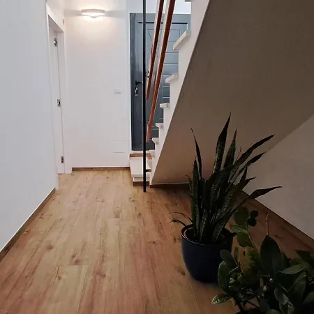 Urban Charme بالاو